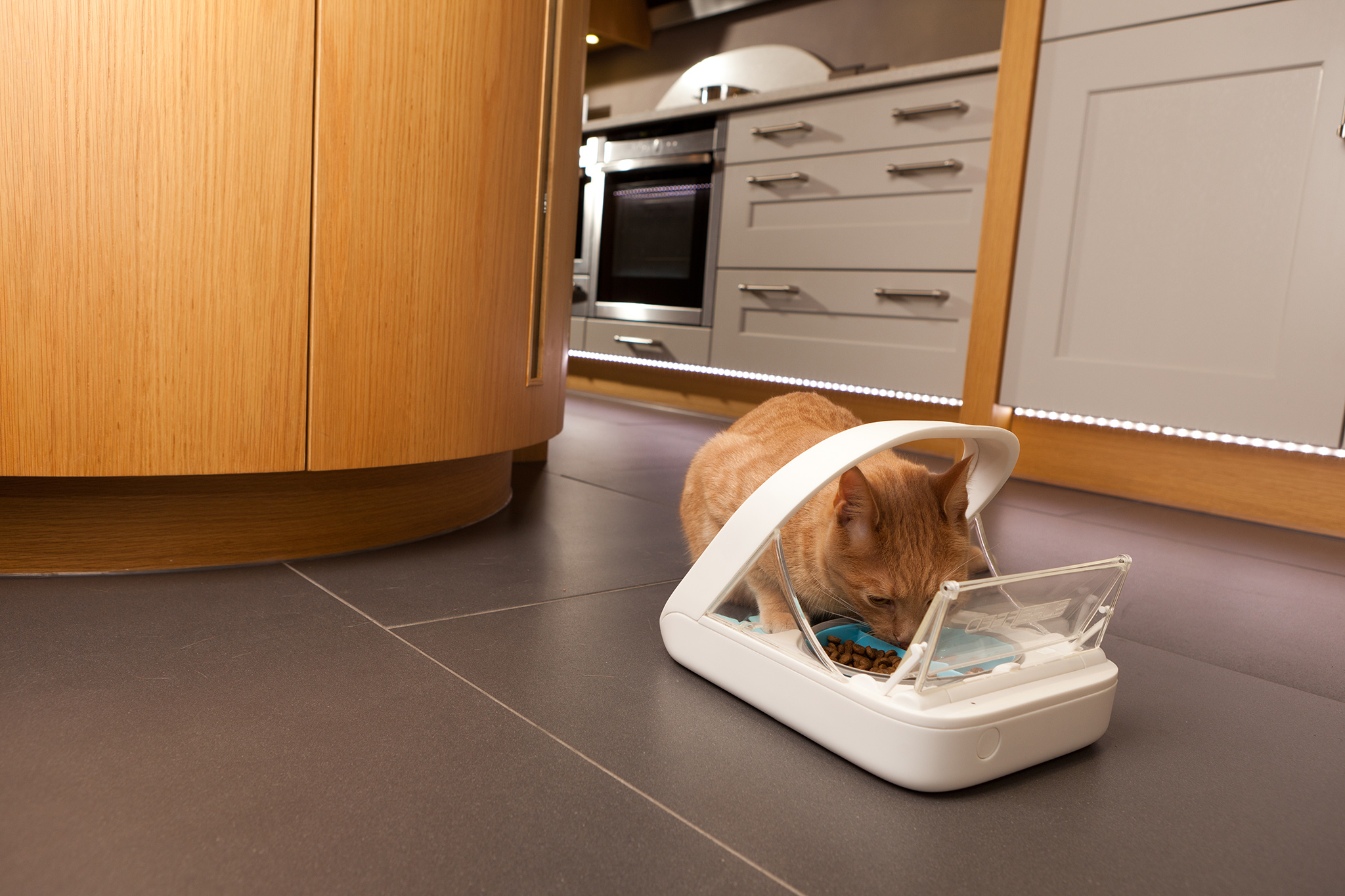 SureFeed Microchip Pet Feeder